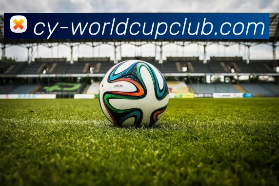 世界杯官方线上发展历程